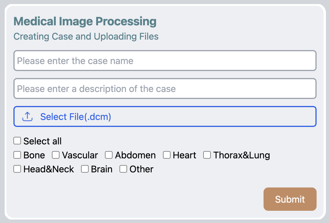 medical image processing
